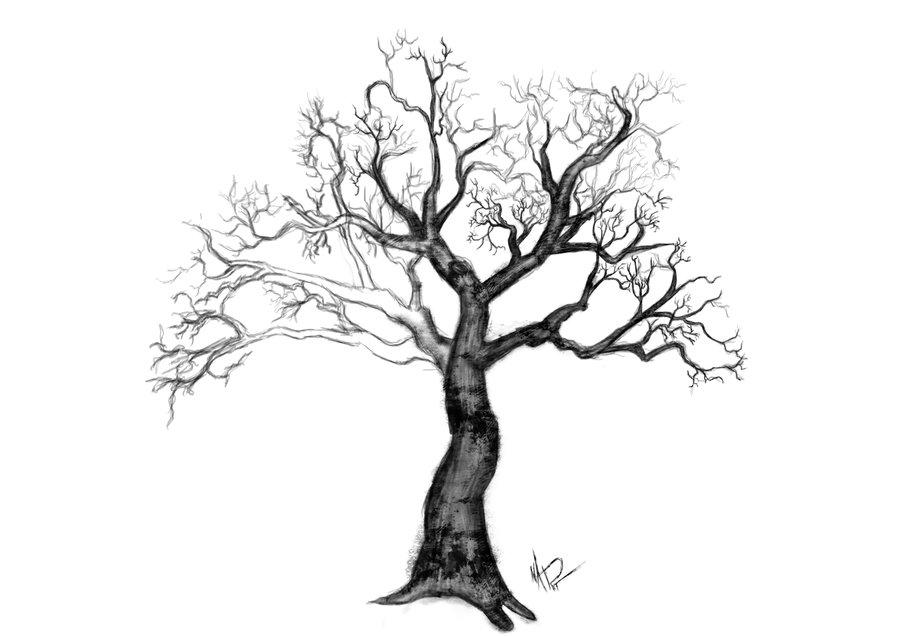 Winter Tree Drawing at GetDrawings | Free download