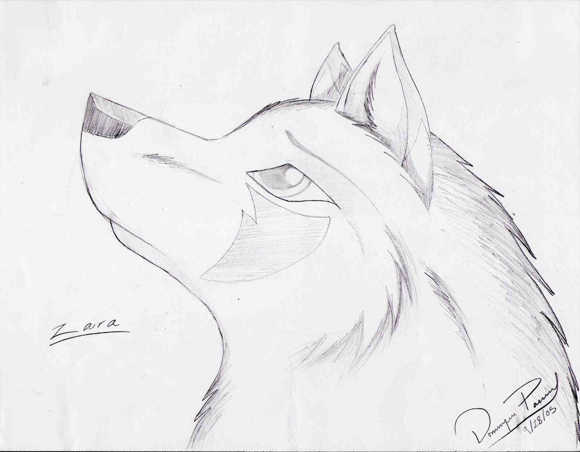 Wolf Drawing Easy Step By Step at GetDrawings Free download