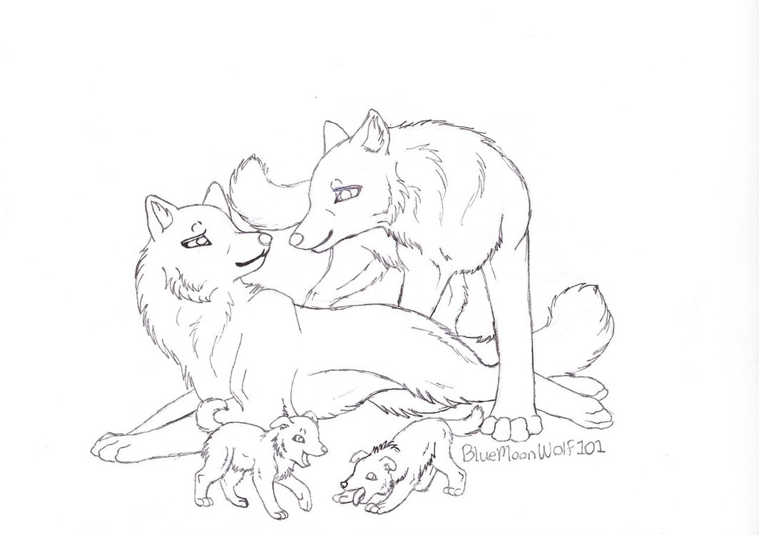 Раскраска Волчья семья