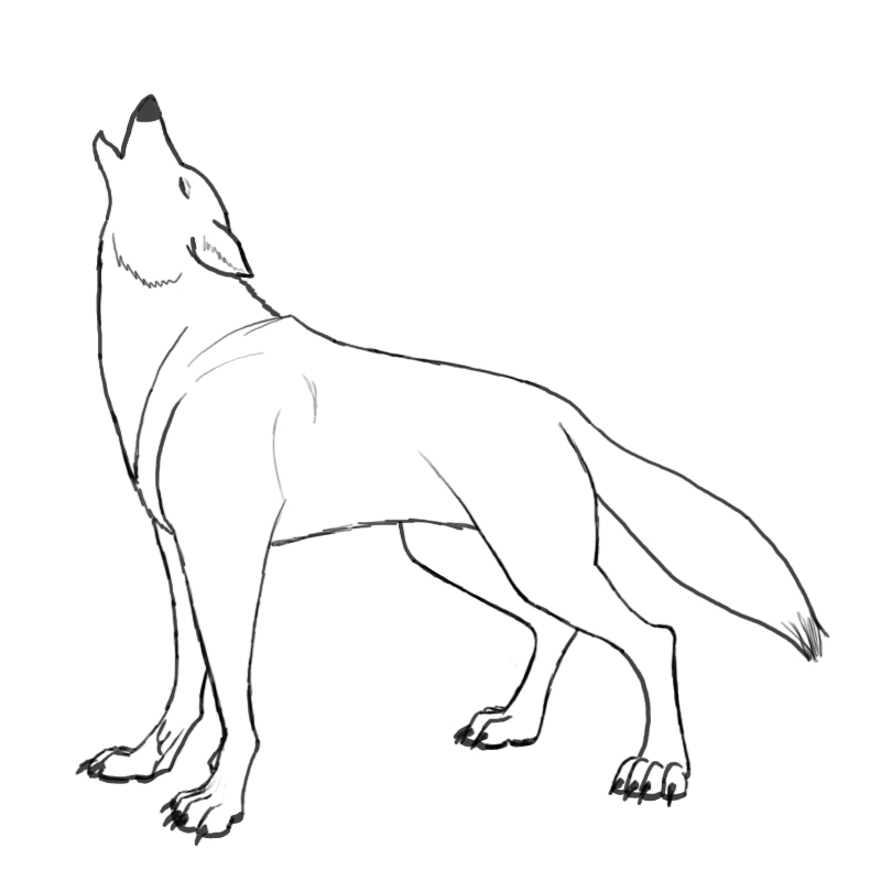 How To Draw A Wolf Head Howling Easy