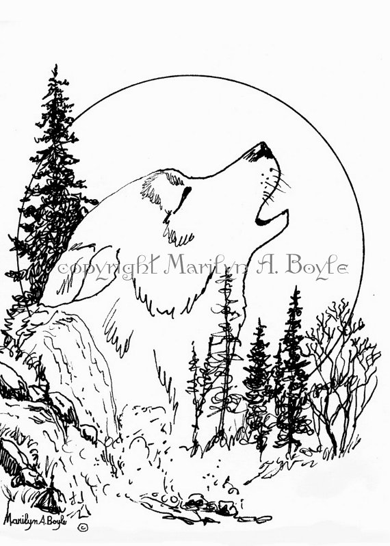 Wolf Howling At The Moon Drawing Step By Step at GetDrawings | Free