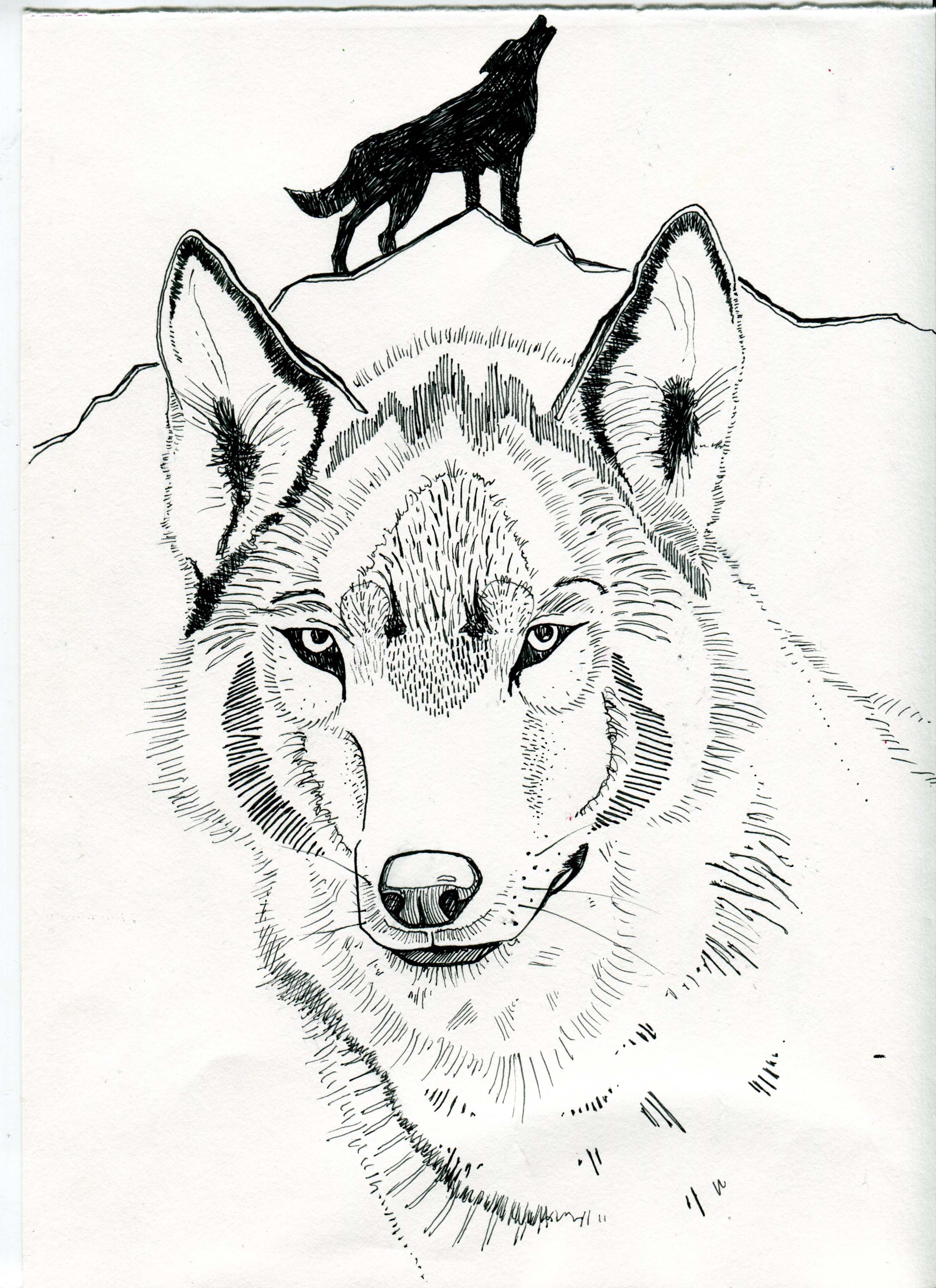 Обворожительный волк иллюстрация