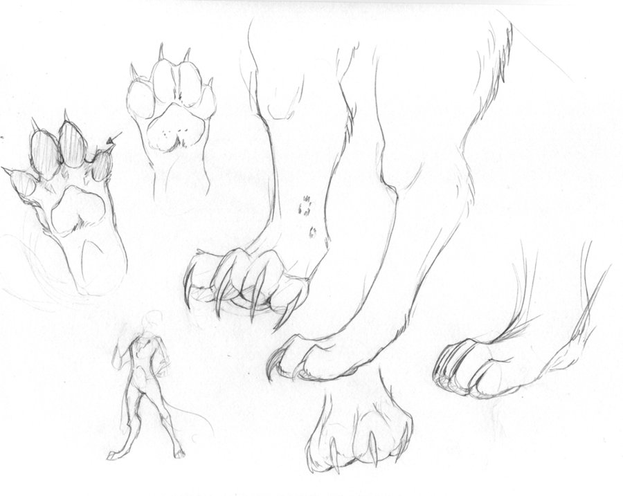 900x717 Foot Paws By Nyaasu.