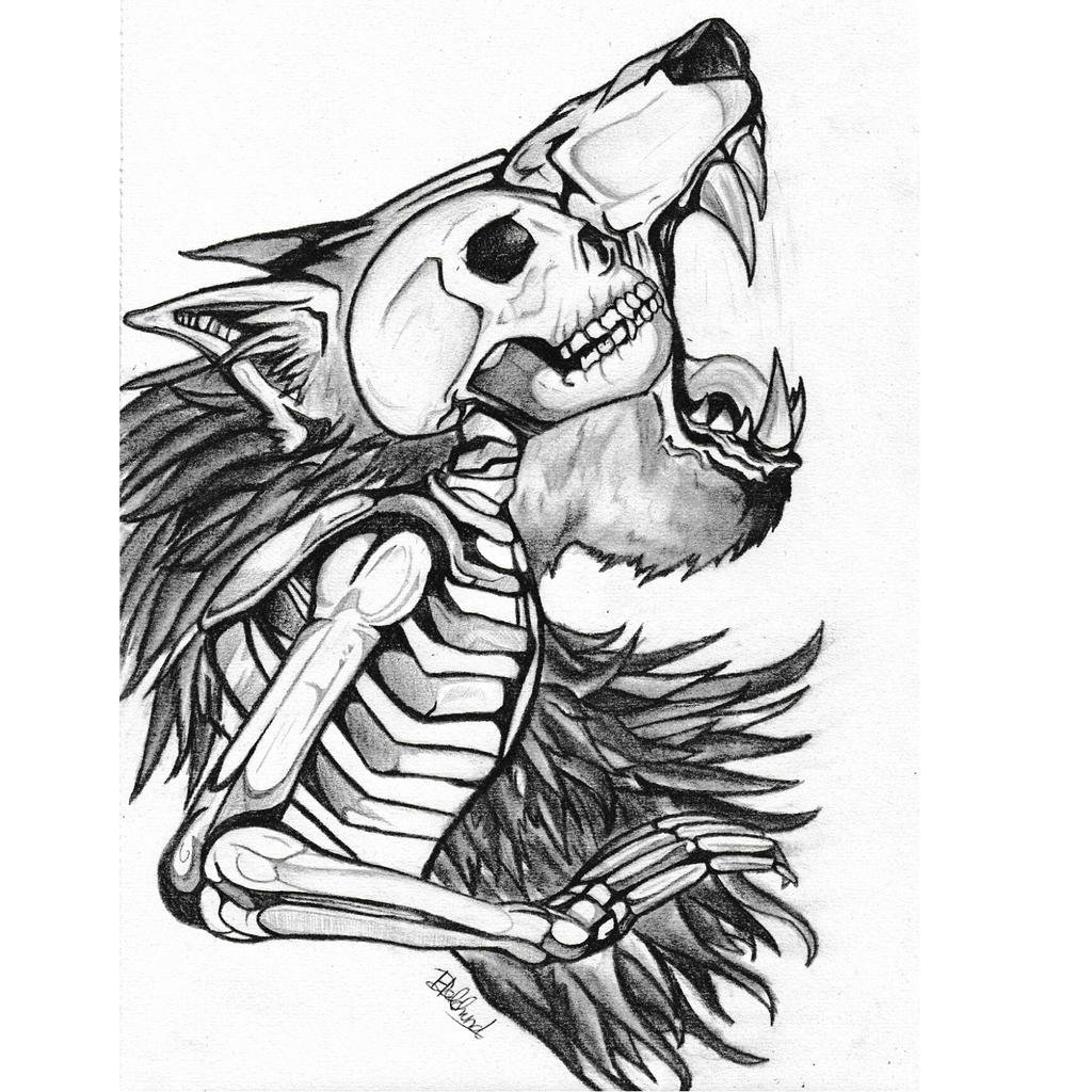 Wolf Skeleton Drawing at GetDrawings Free download