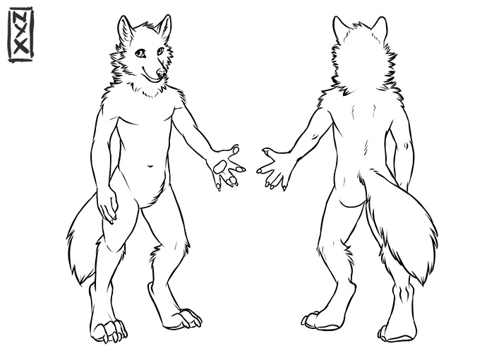 700x500 Free Wolf Reference Sheet By Nievaris.