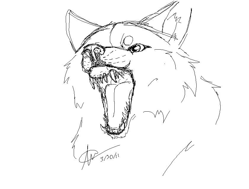 Wolf Teeth Drawing at GetDrawings Free download