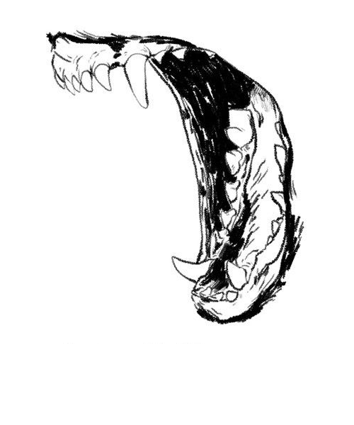 Wolf Teeth Drawing at GetDrawings Free download