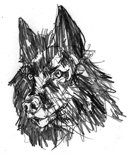 Wolf Teeth Drawing At Getdrawings Free Download 