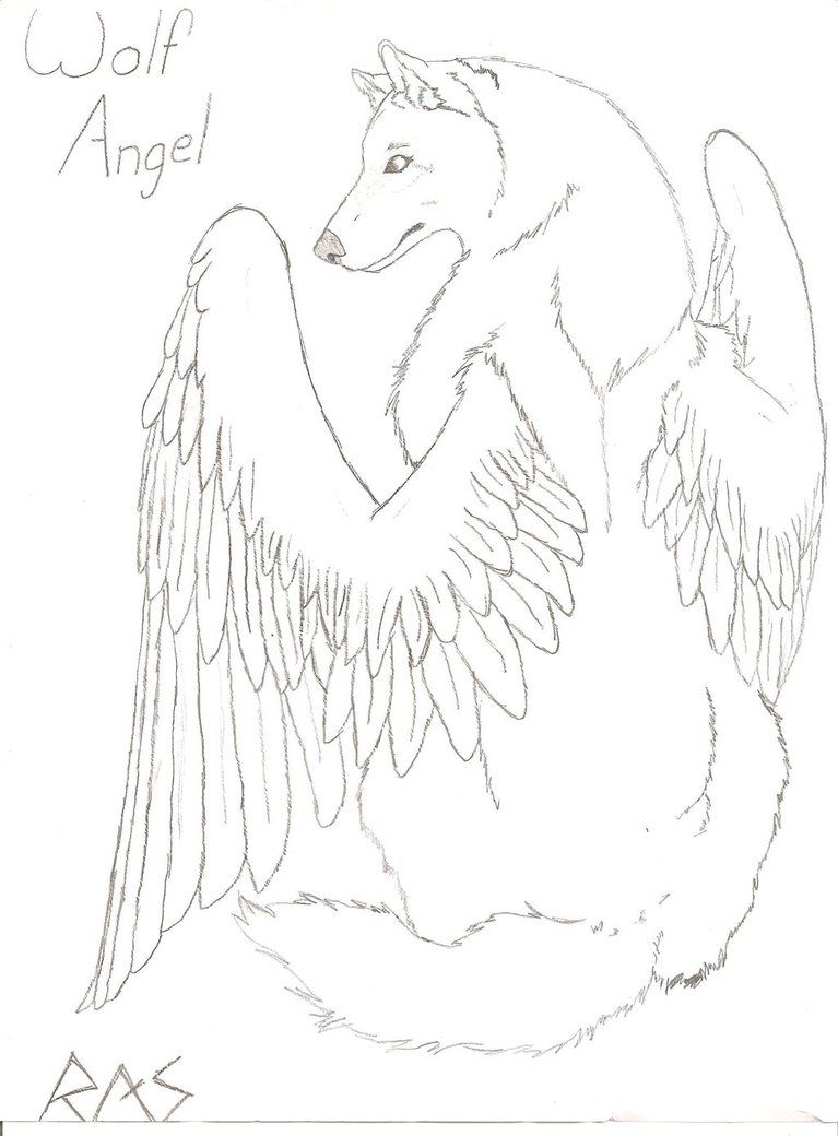 anime wolf with wings drawings