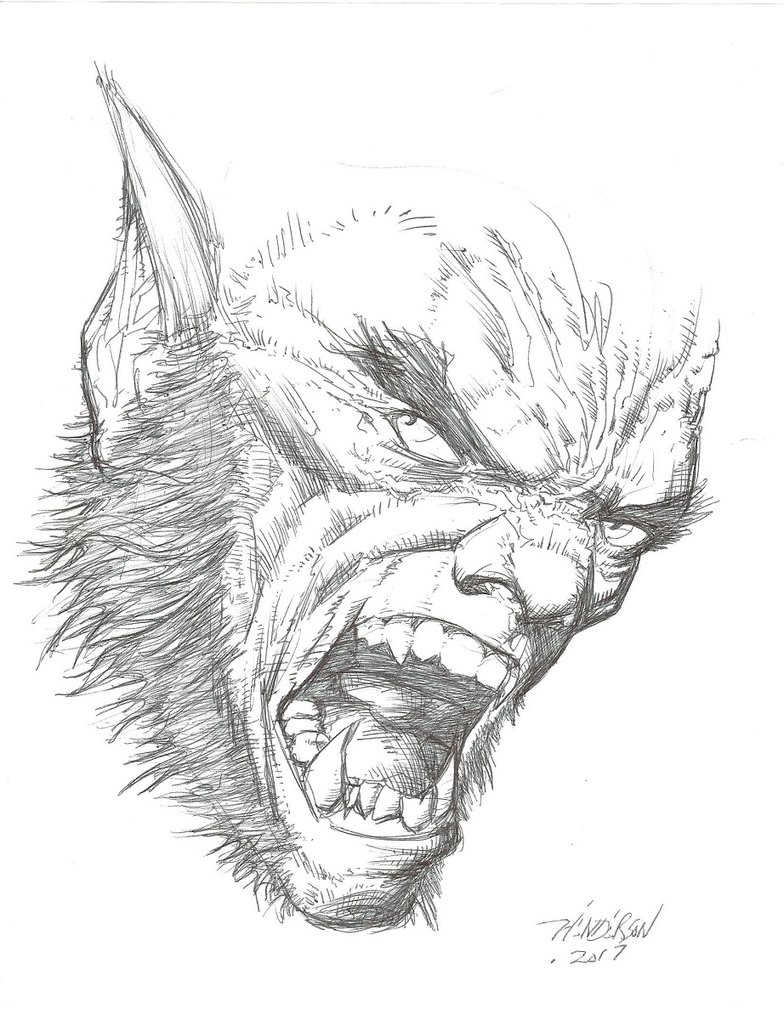 Wolfman Drawing at GetDrawings Free download
