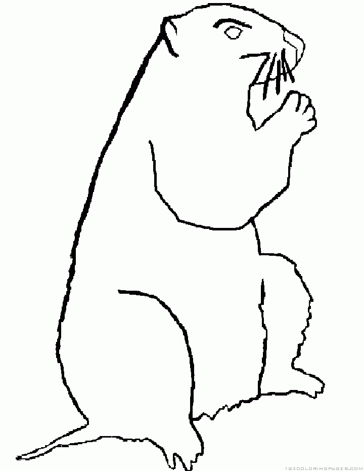 Woodchuck Drawing at GetDrawings | Free download