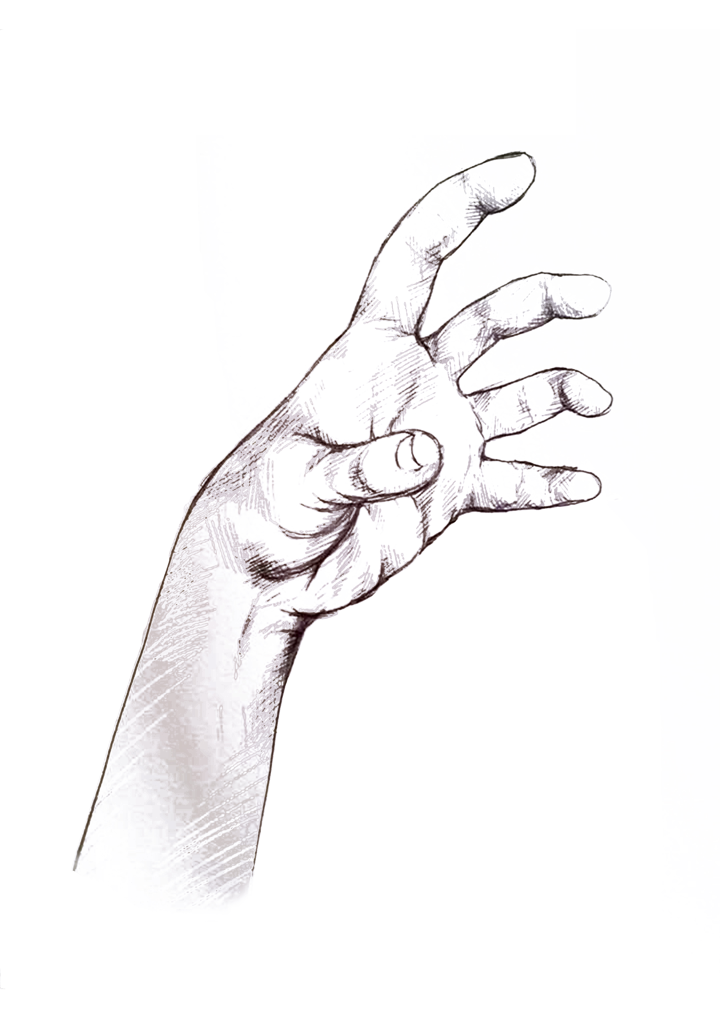 Wrist Drawing at GetDrawings Free download