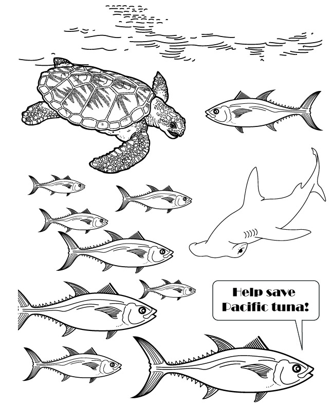 Yellowfin Tuna Drawing at GetDrawings | Free download
