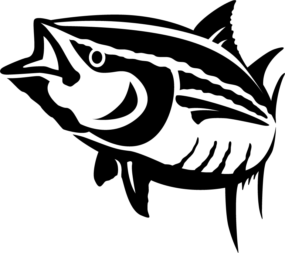 Yellowfin Tuna Drawing at GetDrawings | Free download