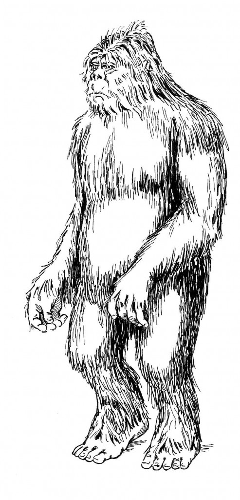 Yeti Drawing at GetDrawings | Free download