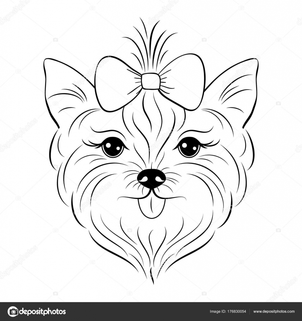 Yorkie Cartoon Drawing at GetDrawings | Free download