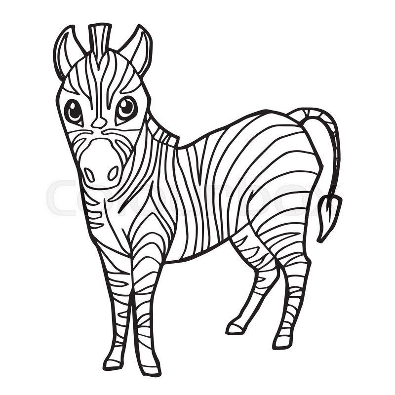 408 Simple Cute Zebra Coloring Pages for Kindergarten