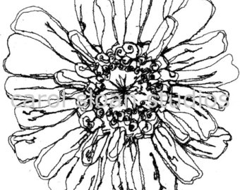 Zinnia Flower Drawing at GetDrawings | Free download