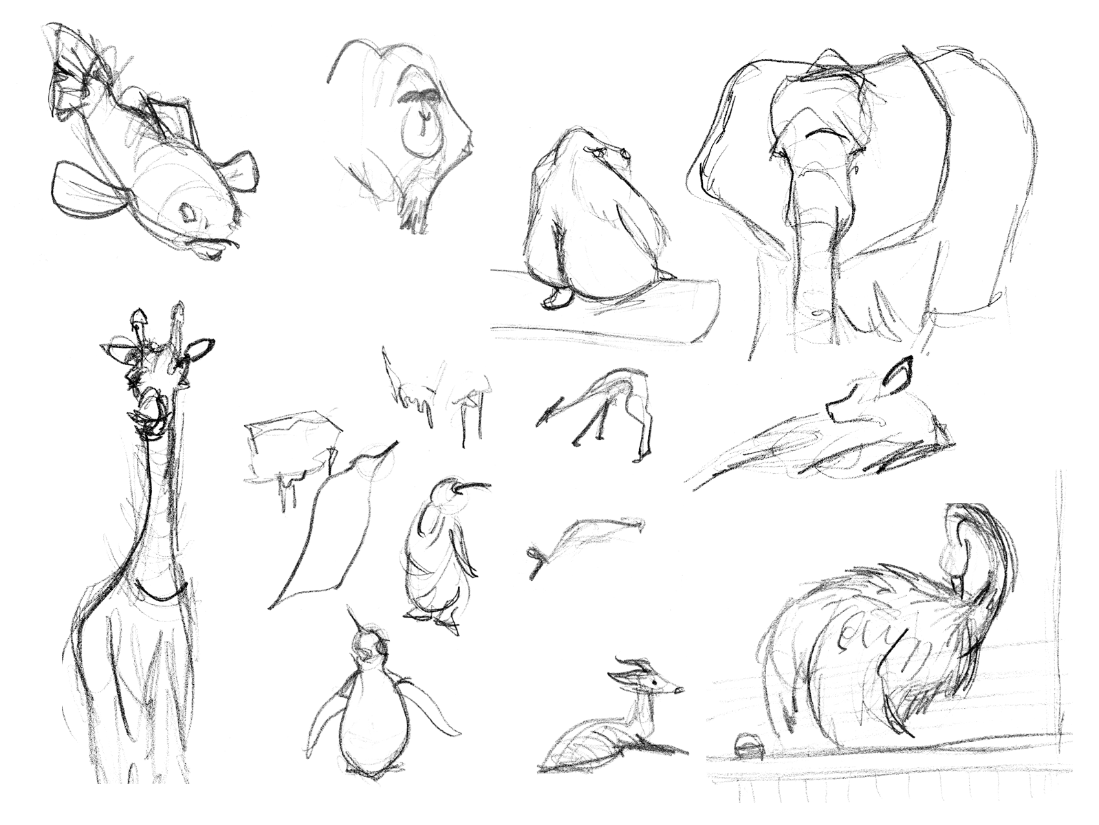 Zoo Animals Drawing at GetDrawings | Free download