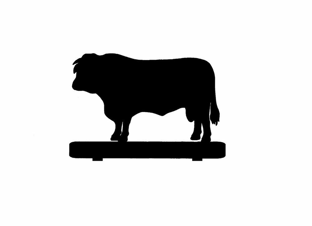 Angus Cow Silhouette at GetDrawings | Free download