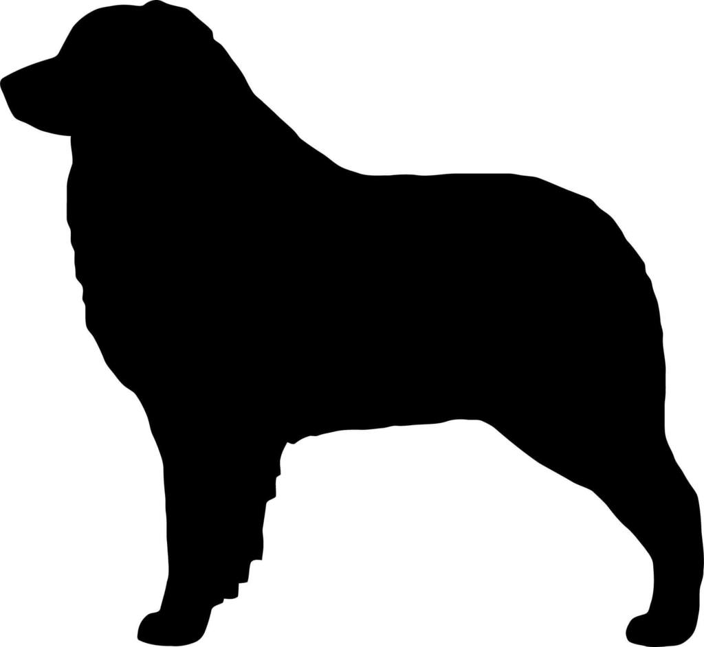 Australian Shepherd Silhouette at GetDrawings | Free download