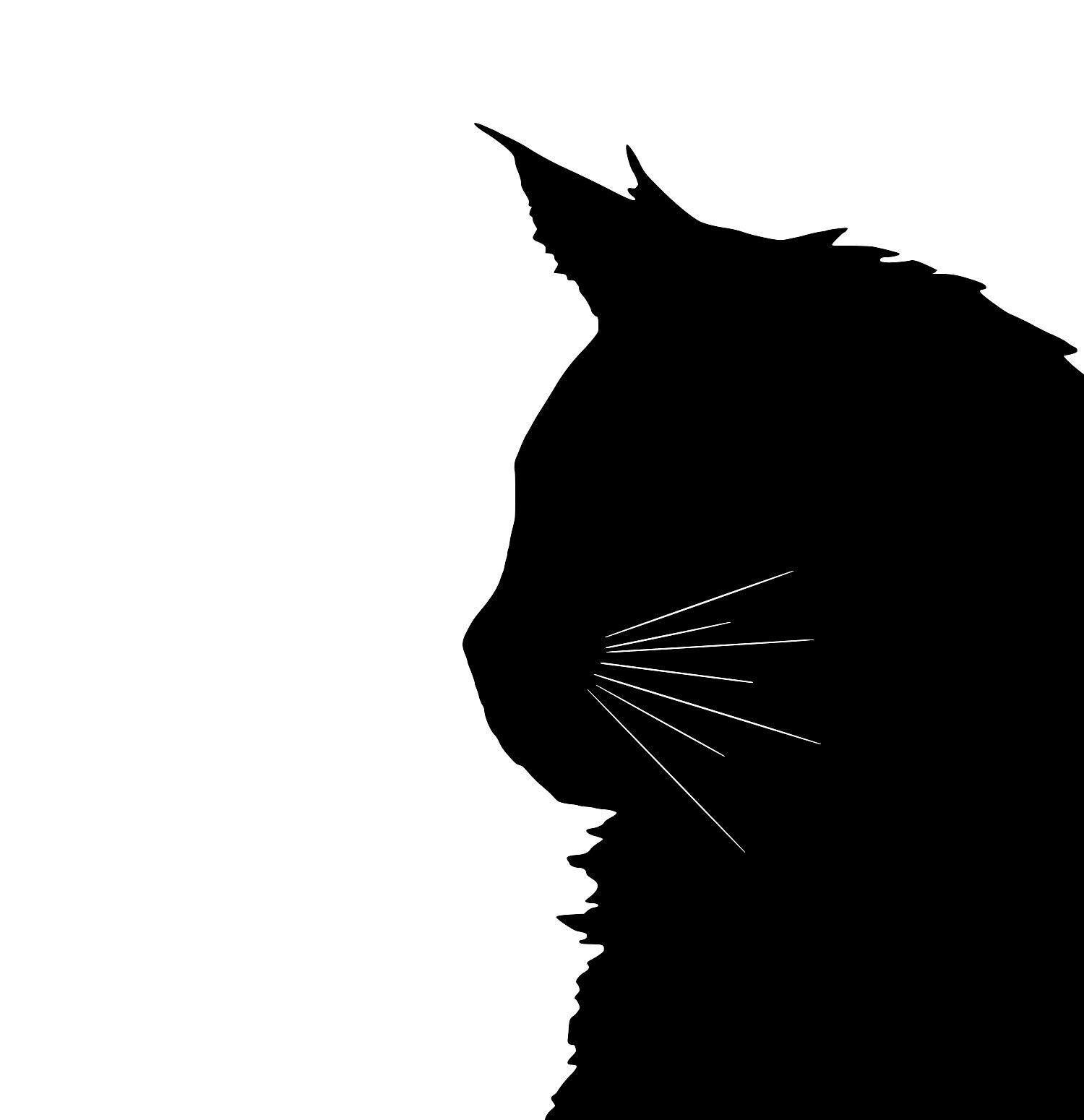 Maine Coon Cat Silhouette Svg Clipart Mainecoon Kitten Vector Etsy My