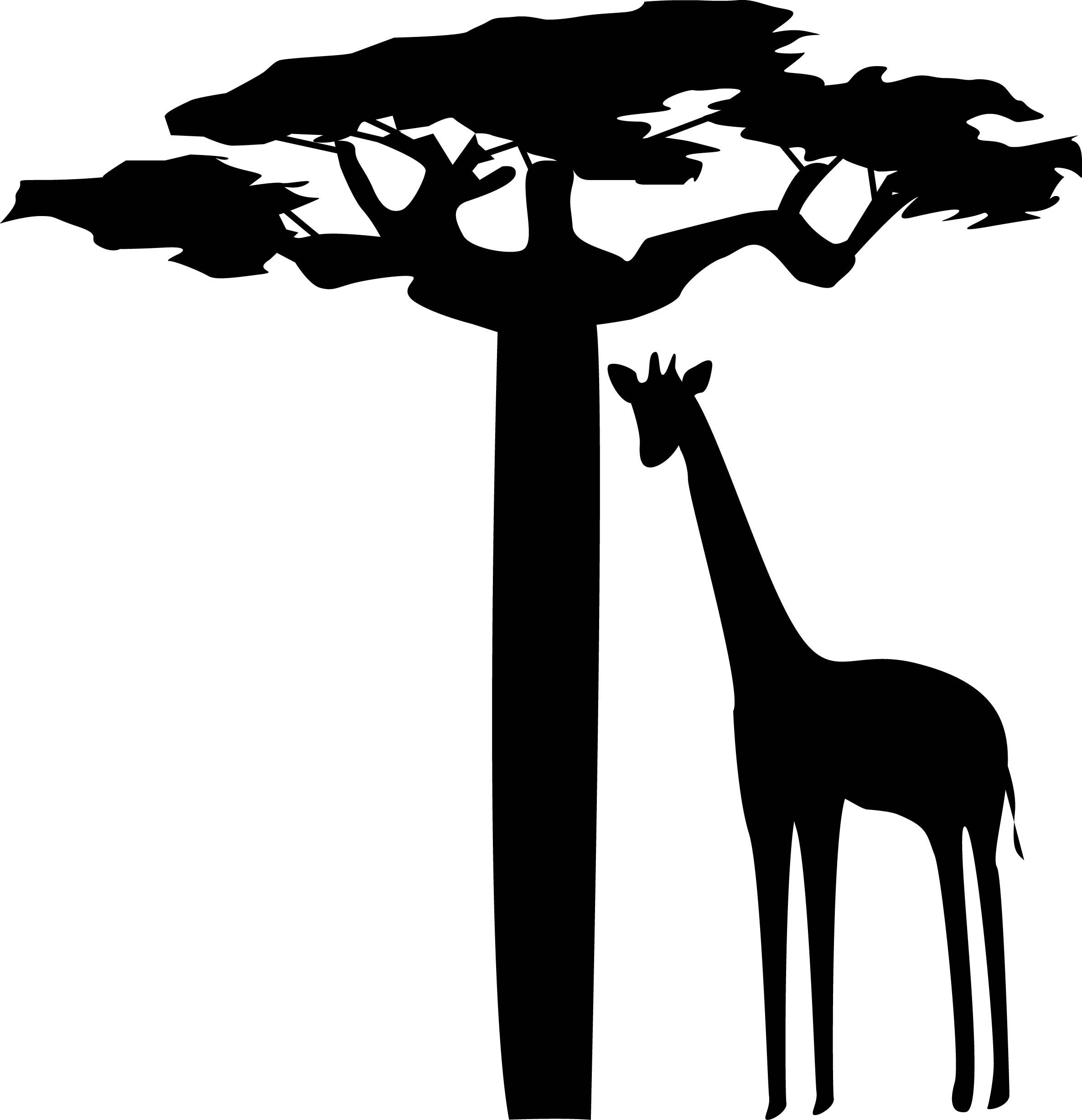 Baobab Tree Silhouette At GetDrawings | Free Download