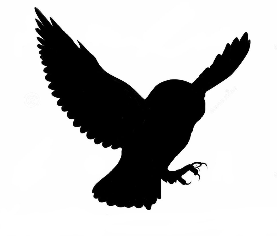 Barn Owl Silhouette At Getdrawings Free Download