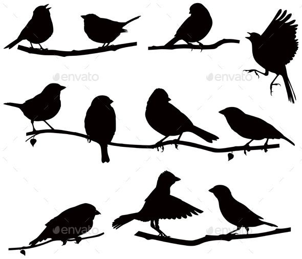 Bird Cage Vector at GetDrawings | Free download