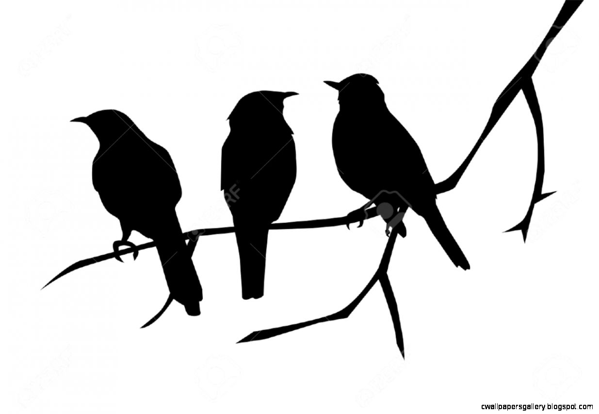 Bird On Tree Silhouette At Getdrawings Free Download