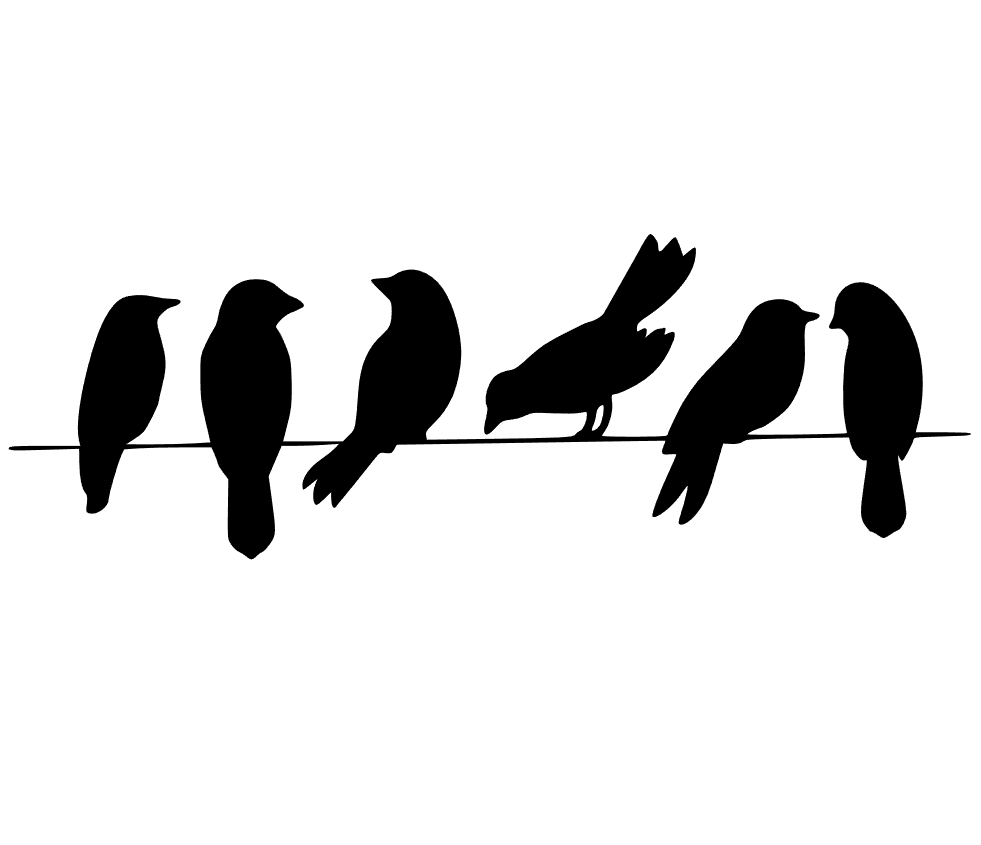 Bird On Wire Silhouette At Getdrawings Free Download