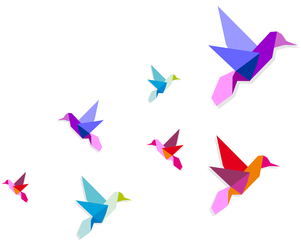 Get Colorful Flying Birds Png Download PNG