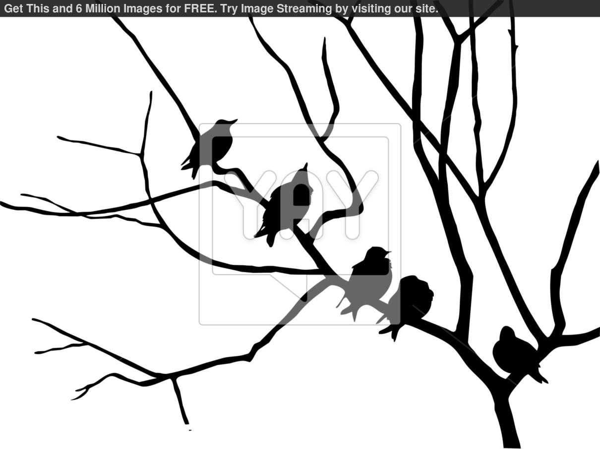 Birds On Branch Silhouette At Getdrawings 