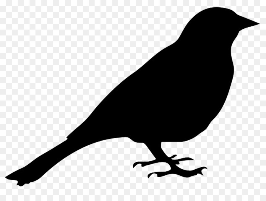 Black Bird Silhouette At Getdrawings Free Download