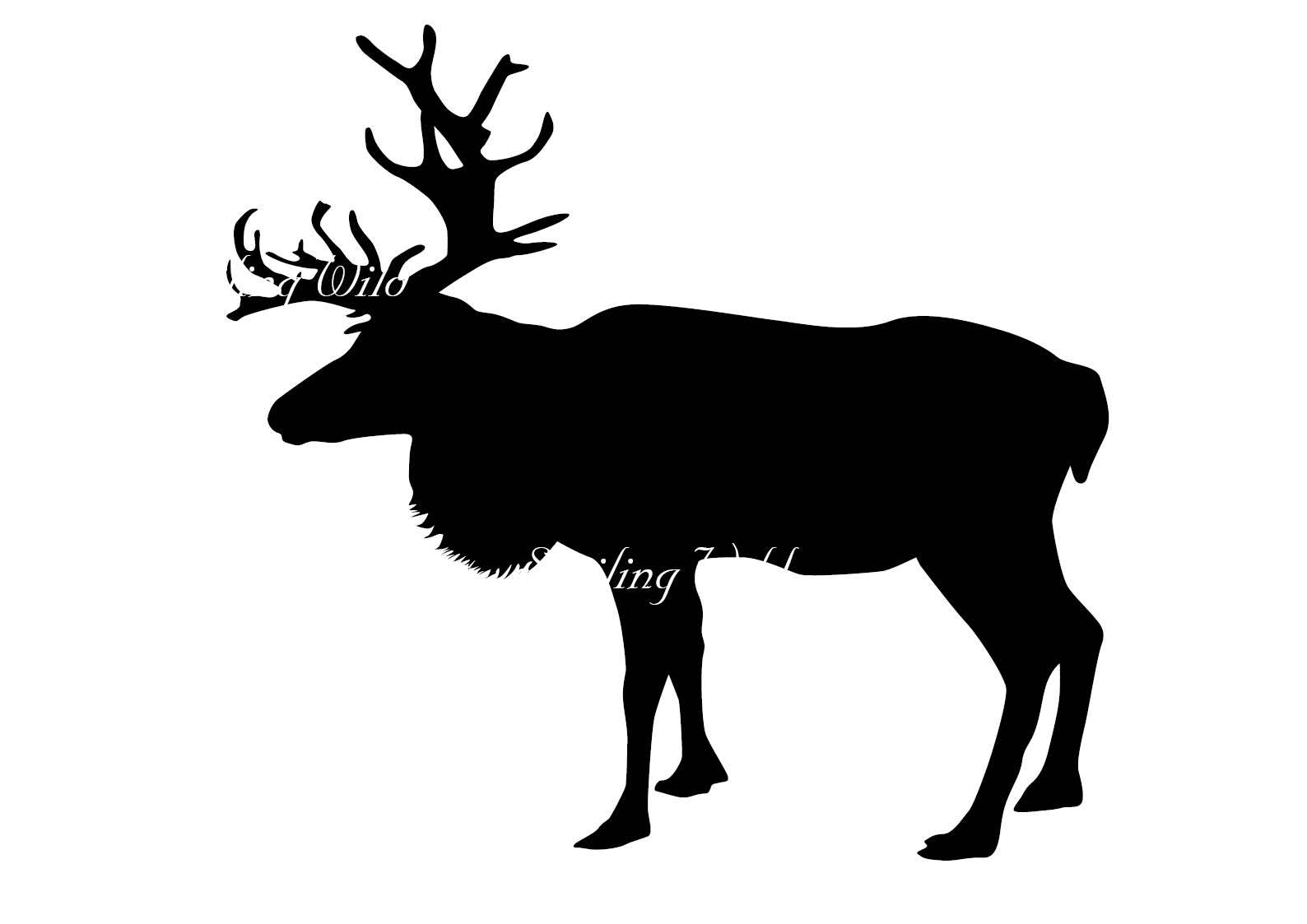 Caribou Silhouette At Getdrawings Free Download