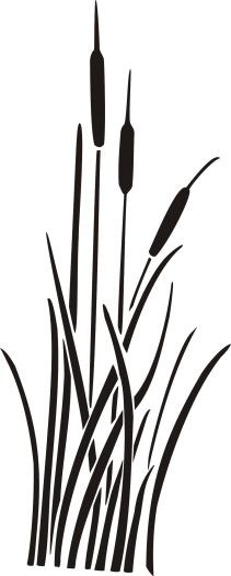 Cattails Silhouette At Getdrawings Free Download