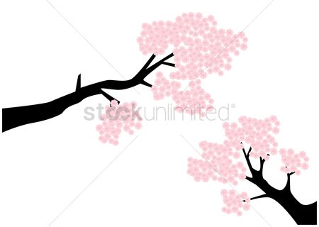 Cherry Blossoms Silhouette at GetDrawings | Free download