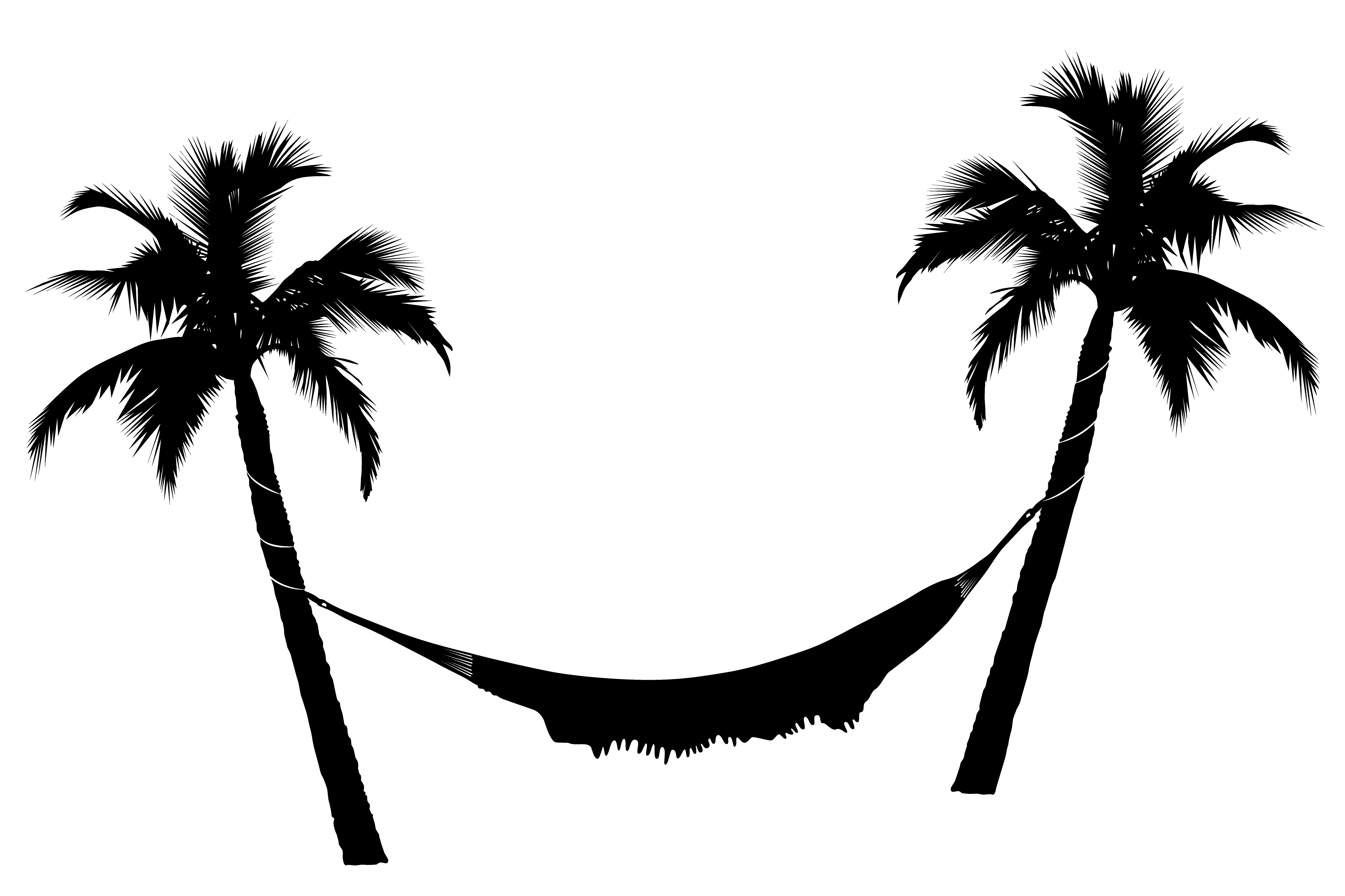 Coconut Tree Silhouette Vector at GetDrawings | Free download