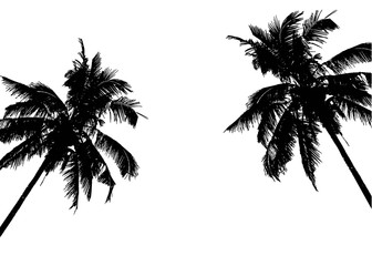 Coconut Tree Silhouette Vector at GetDrawings | Free download