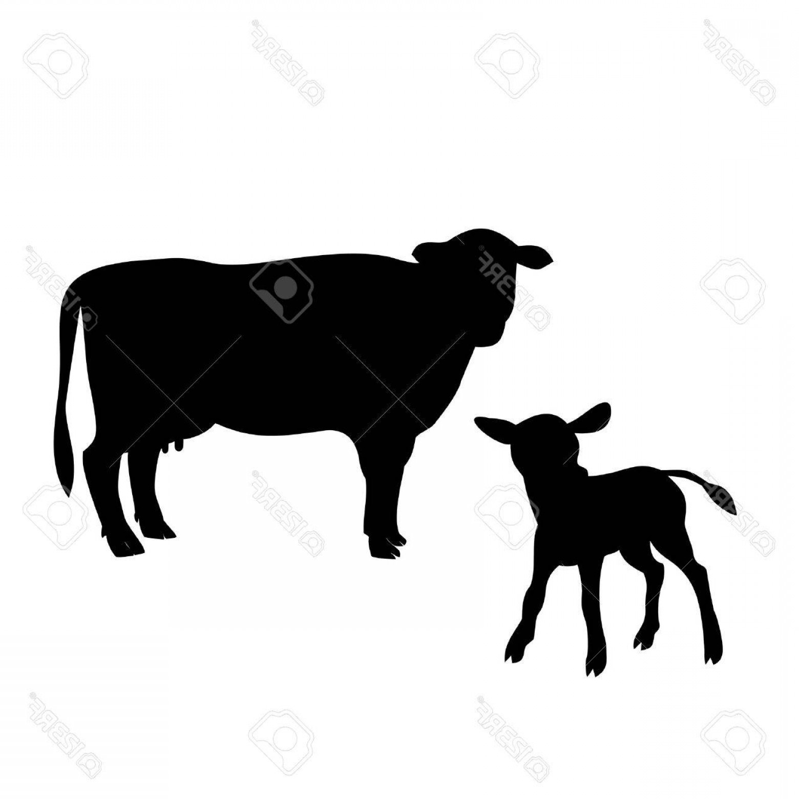 Cow And Calf Silhouette At Getdrawings Free Download 9172