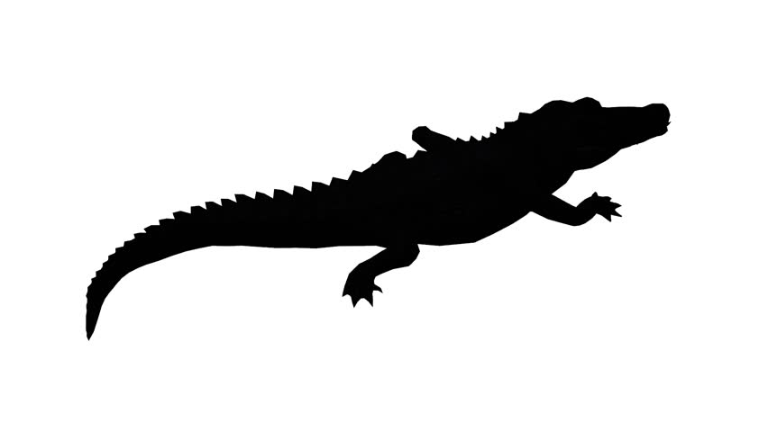 The Best Free Crocodile Silhouette Images. Download From 124 Free 