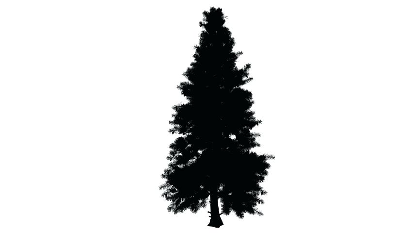 Cypress Tree Silhouette At Getdrawings Free Download