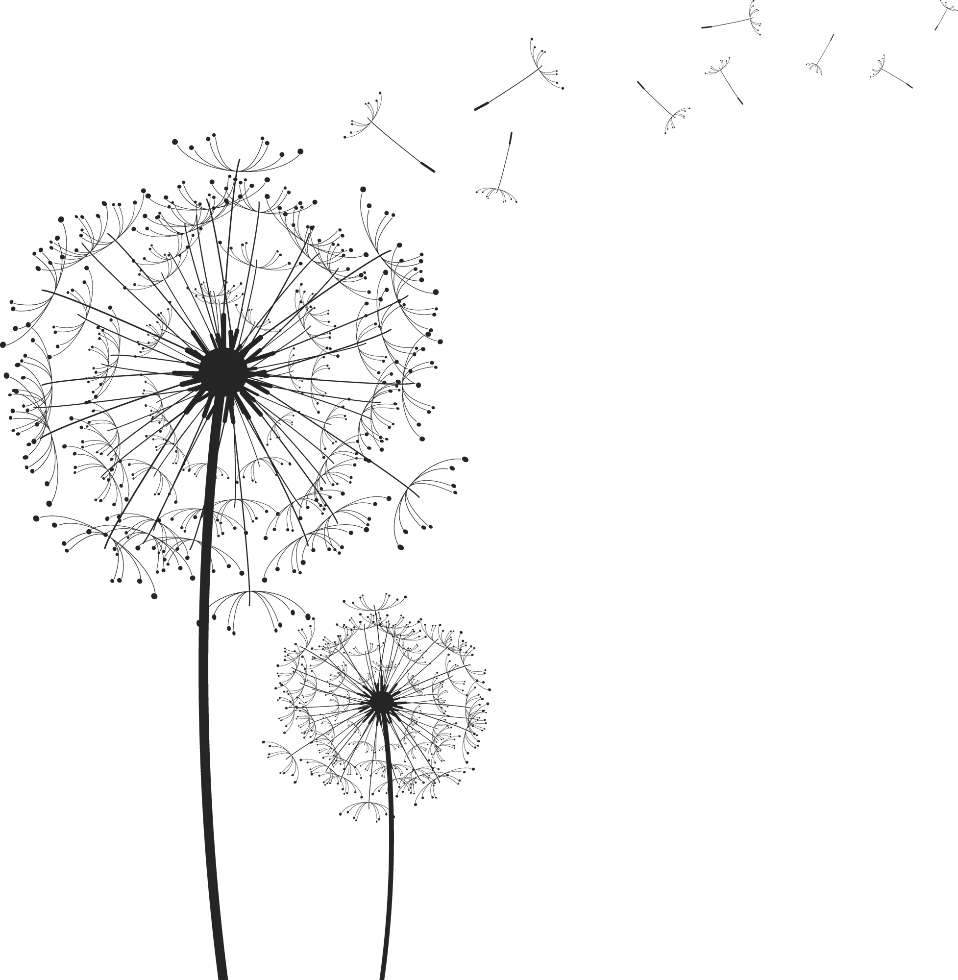 dandelion-silhouette-at-getdrawings-free-download
