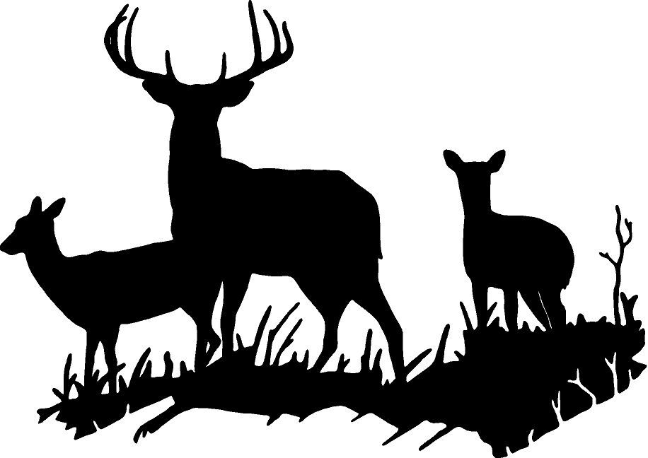 doe-head-silhouette-at-getdrawings-free-download