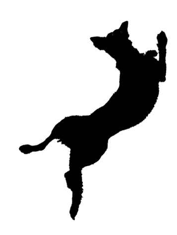Dog Jumping Silhouette at GetDrawings | Free download