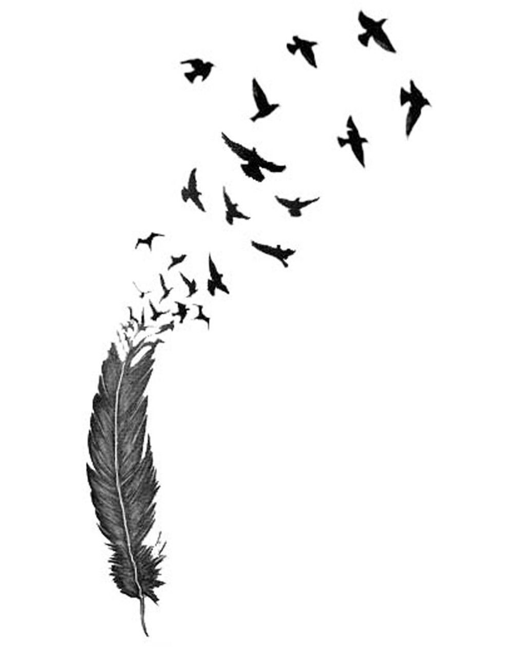 Download Feather Bird Silhouette at GetDrawings | Free download