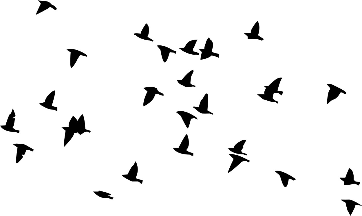 Flock Of Birds Silhouette At Getdrawings 