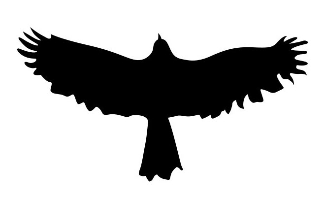 flying-hawk-silhouette-at-getdrawings-free-download
