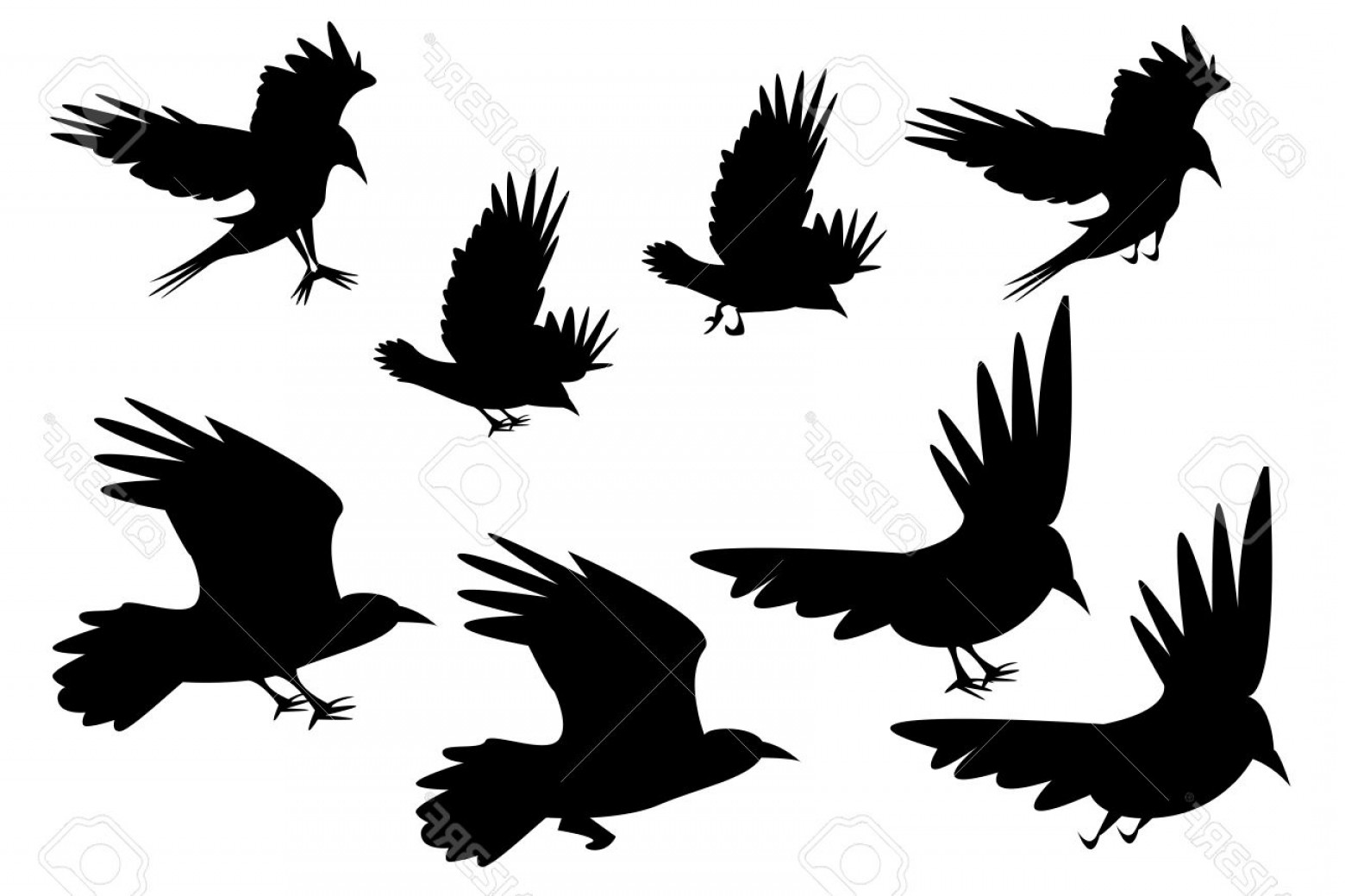 Flying Raven Silhouette At Getdrawings Free Download