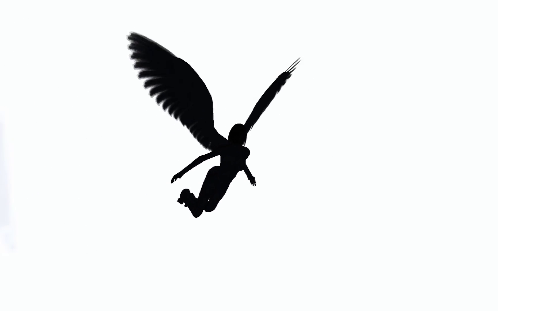 Flying Silhouette At Getdrawings Free Download